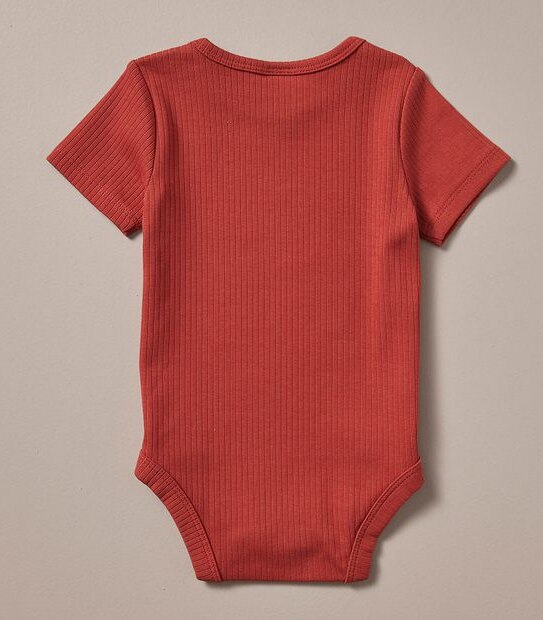 3 Pack Baby Organic Cotton Bodysuits