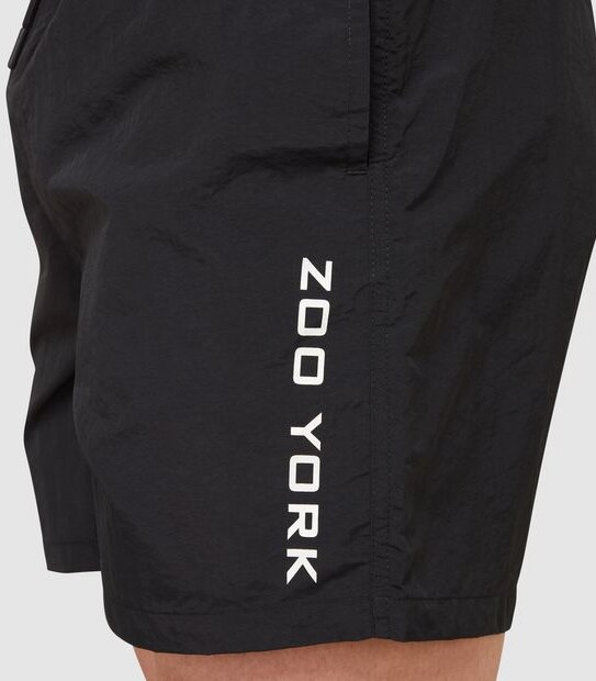 Zoo York Huston Shorts