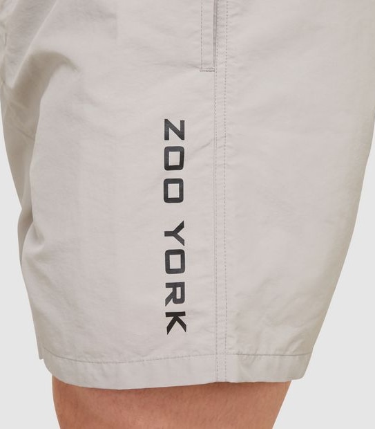 Zoo York Huston Shorts