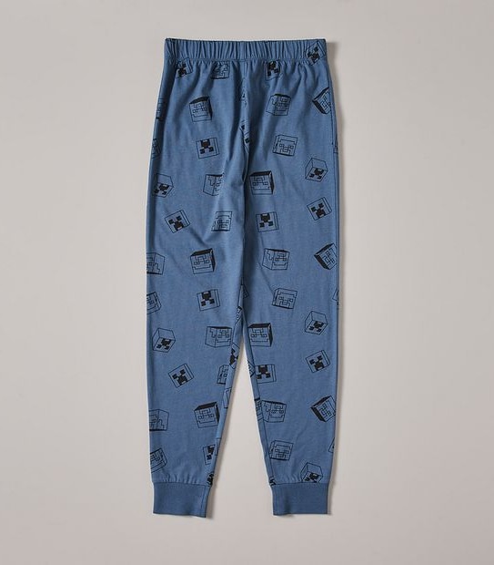 Minecraft Pyjama Set