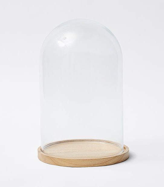 Glass Cloche
