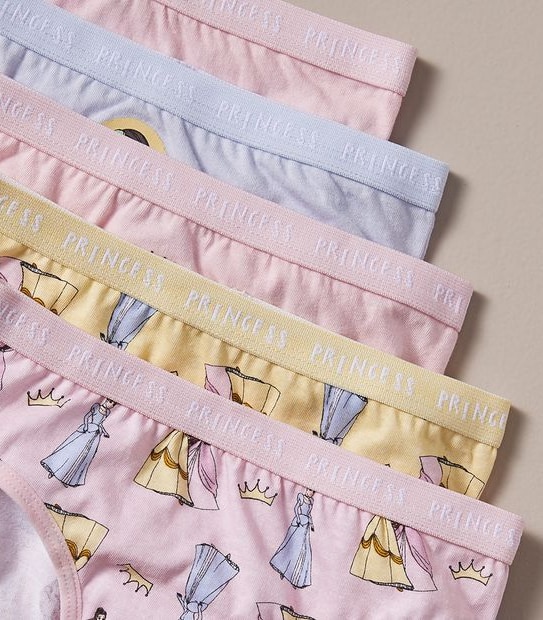 5 Pack Disney Princess Briefs Gift Set