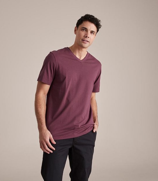 Organic Cotton V-Neck T-Shirt