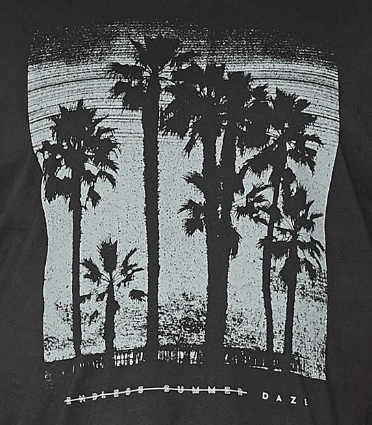 Mr Big Endless Summer T-Shirt