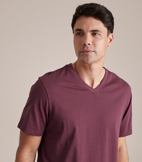 Organic Cotton V-Neck T-Shirt | Target Australia