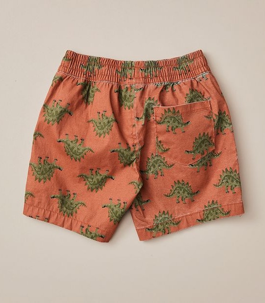 Volley Shorts