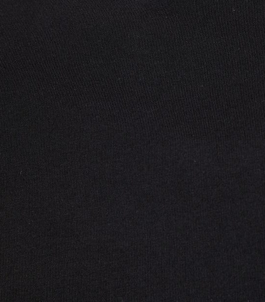 Organic Cotton Curved Hem T-Shirt