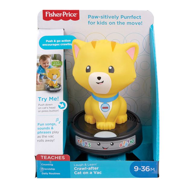 fisher price cat