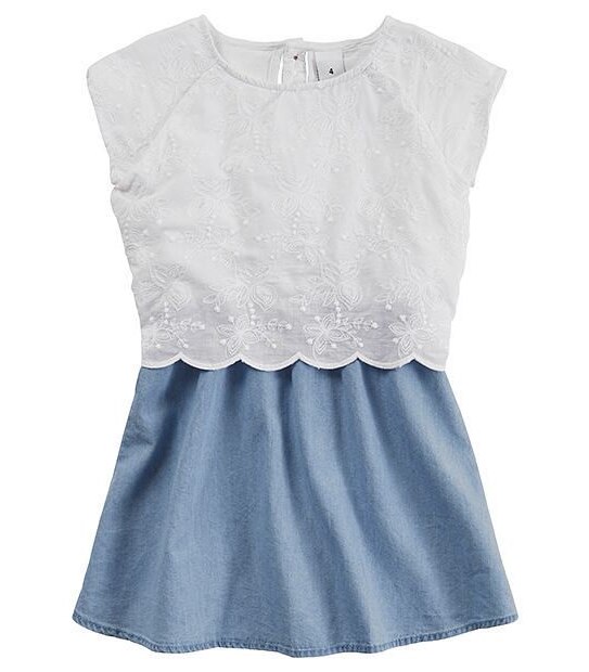 Chambray Embroidered Dress
