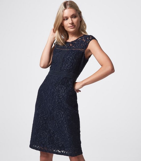 Preview Cap Sleeve Flocked Velvet Lace Dress