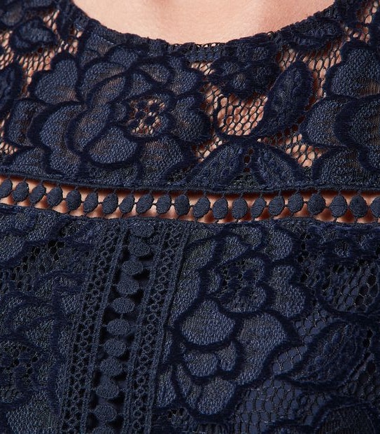 Preview Cap Sleeve Flocked Velvet Lace Dress