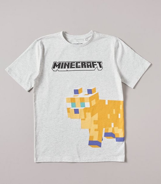 Minecraft T-shirt