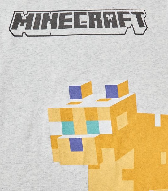 Minecraft T-shirt
