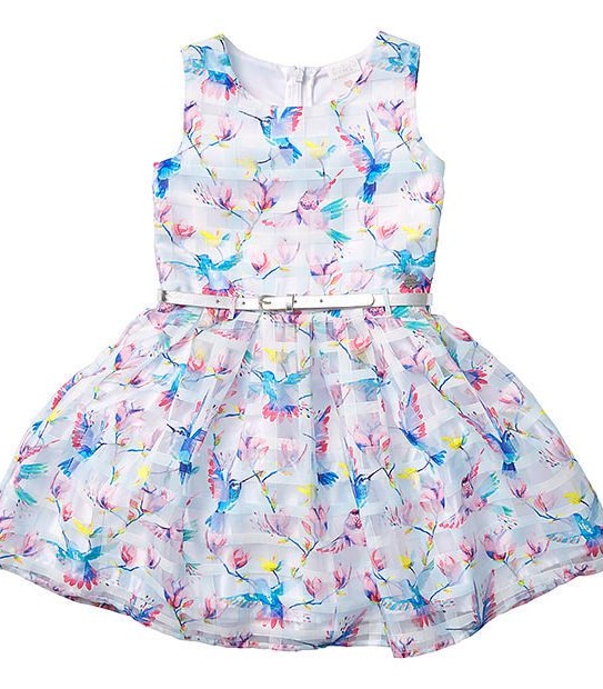 Tutu's & Tambourines Print Party Dress
