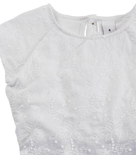 Chambray Embroidered Dress