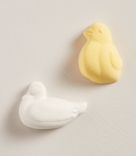FRIENDS Chick and Duck Bath Fizzers 100g net