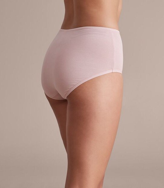 2 Pack Everyday Cotton Full Briefs; Style: LFB30307