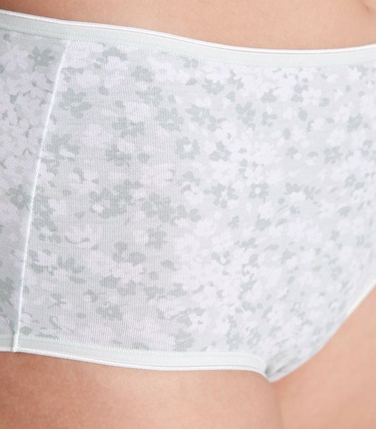 2 Pack Everyday Cotton Full Briefs; Style: LFB30307