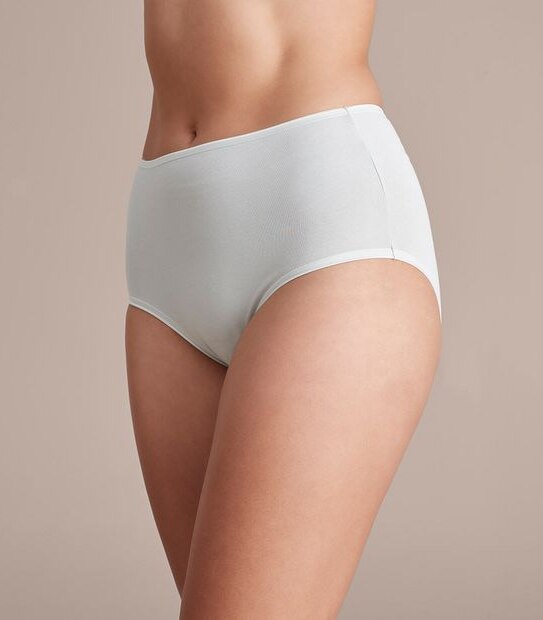 2 Pack Everyday Cotton Full Briefs; Style: LFB30307
