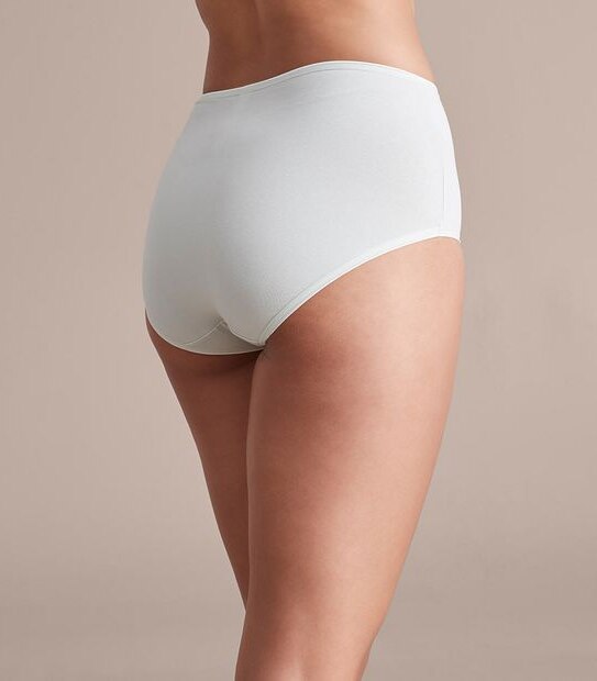 2 Pack Everyday Cotton Full Briefs; Style: LFB30307