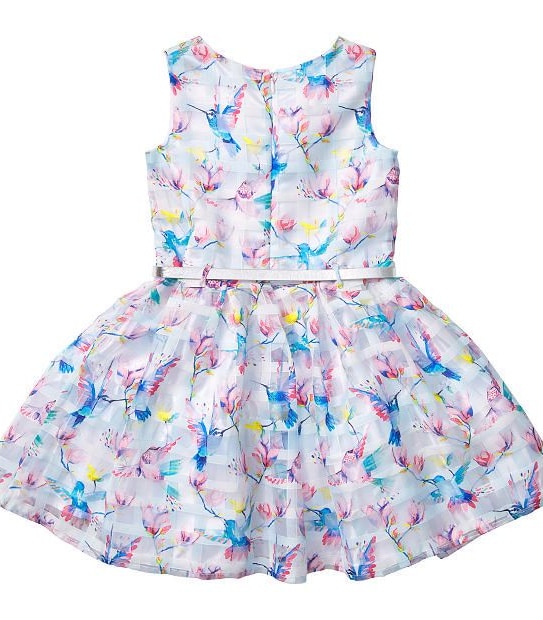 Tutu's & Tambourines Print Party Dress