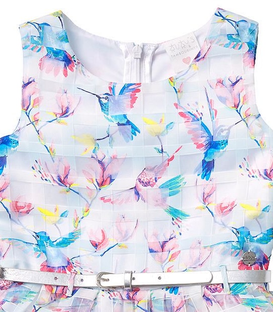 Tutu's & Tambourines Print Party Dress