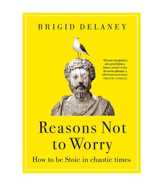 Reasons Not To Worry - Brigid Delaney