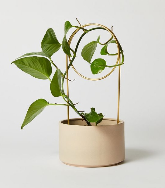 3 Pack Zen Plant Stakes