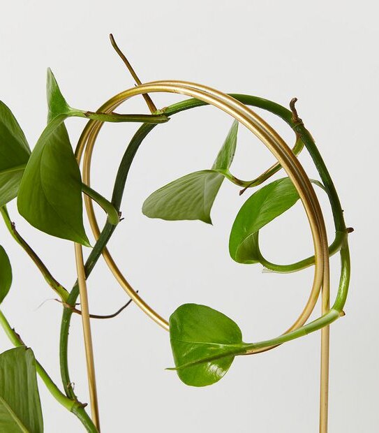 3 Pack Zen Plant Stakes