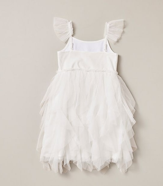 Applique Floral Tutu Dress