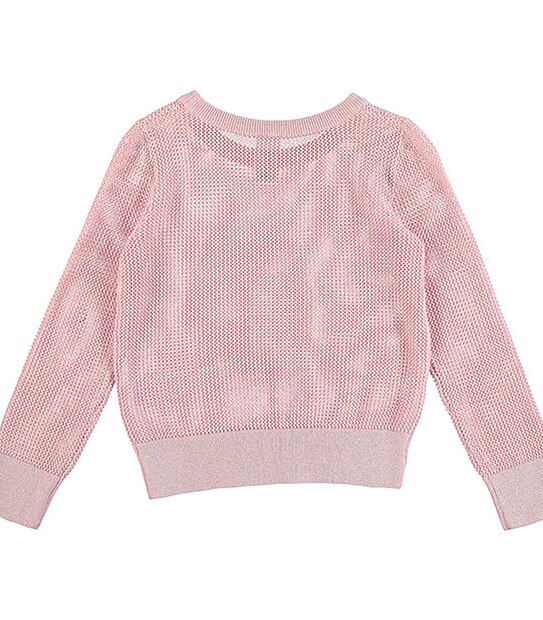 Metallic Knit Pullover