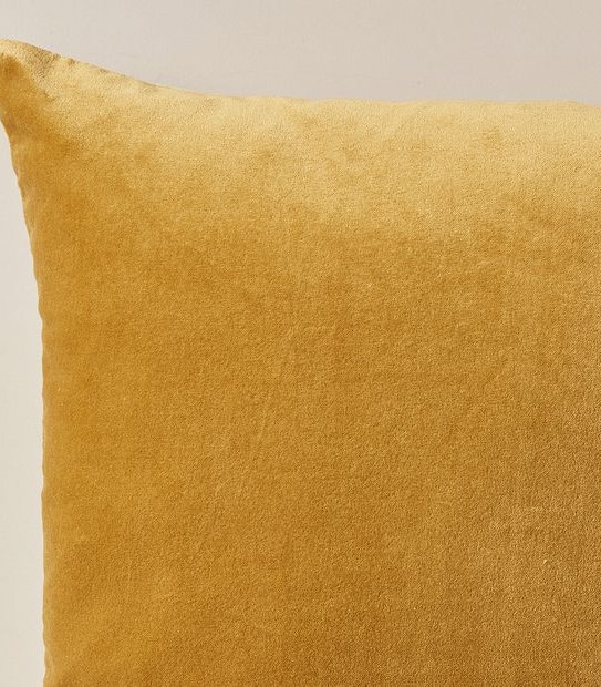 Bodhi Velvet Cushion