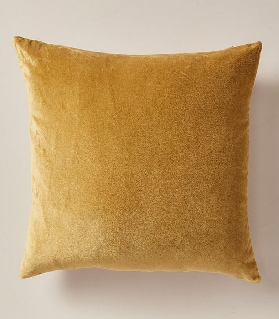 Bodhi Velvet Cushion