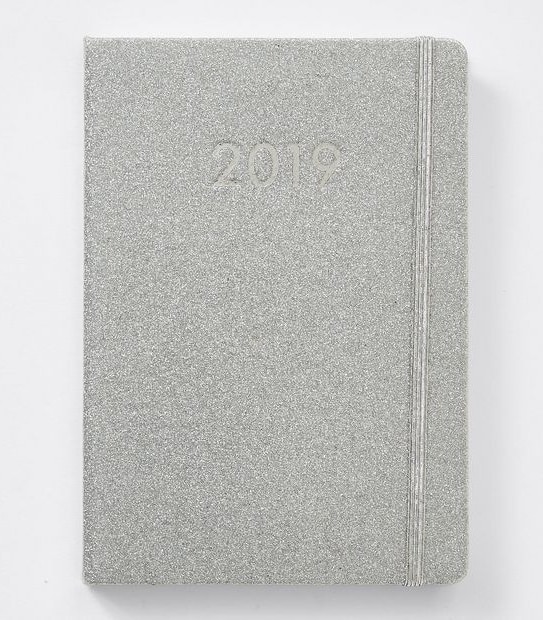 A5  Hardcover 2019 Diary - Silver Glitter