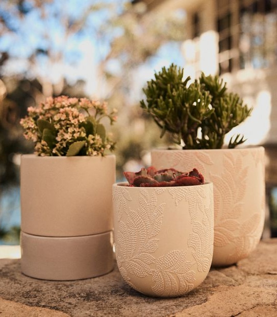 Lulu Pot - Tall