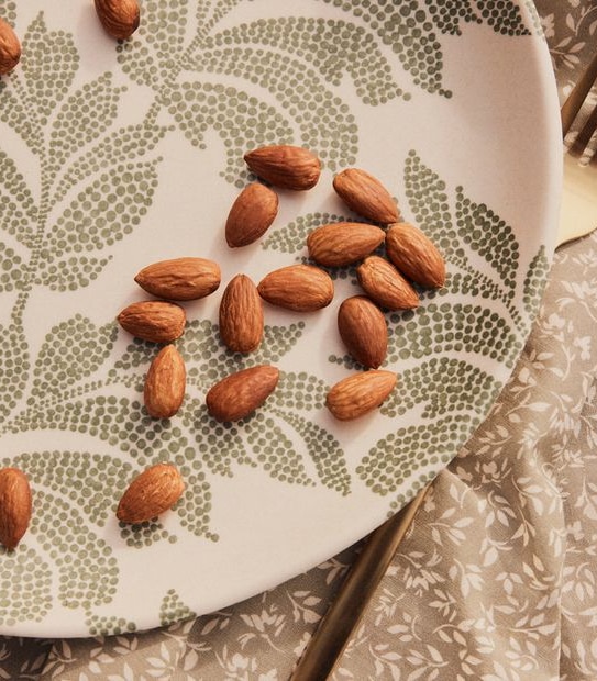Eden Printed Melamine Dinner Plate