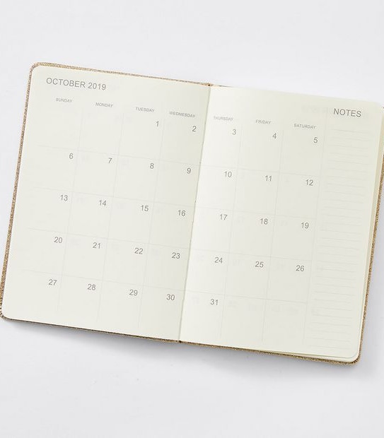 A5  Hardcover 2019 Diary - Gold Glitter