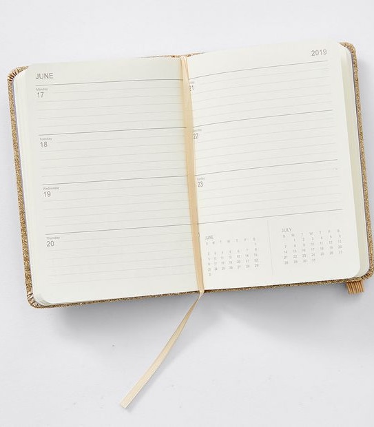 A6  Hardcover 2019 Diary - Gold Glitter