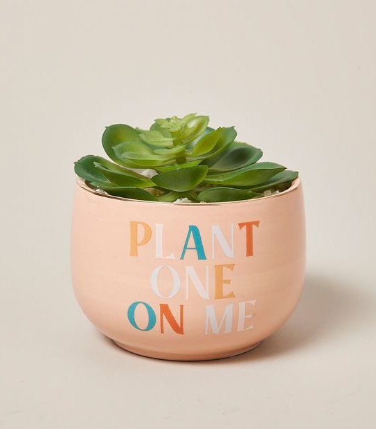 Feelin' Peachy Faux Plant - "Plant One On Me"