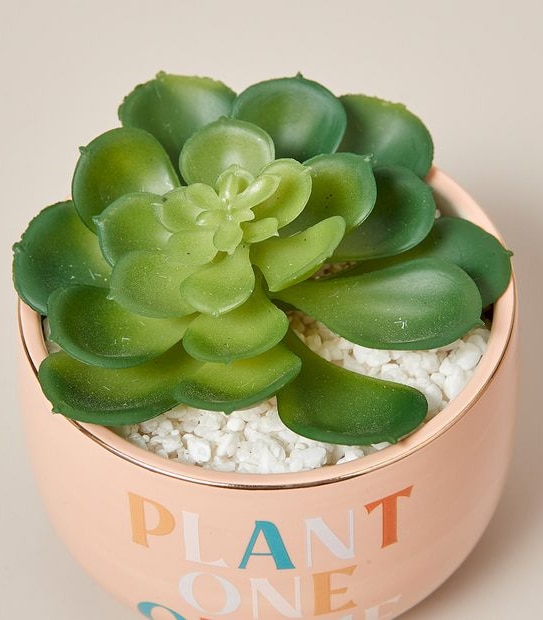 Feelin' Peachy Faux Plant - "Plant One On Me"