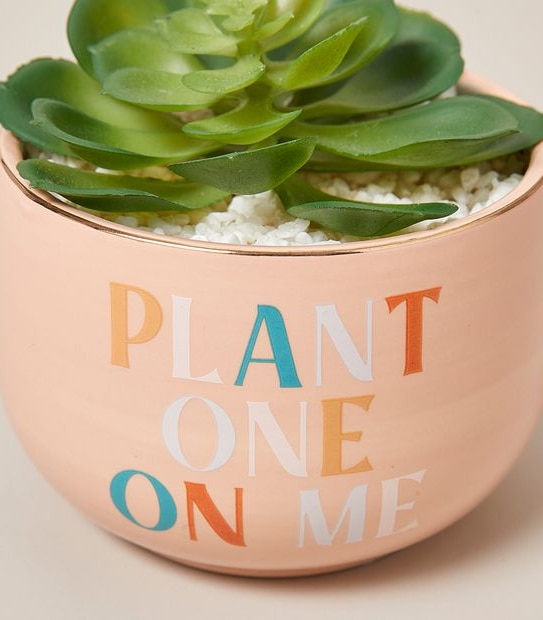 Feelin' Peachy Faux Plant - "Plant One On Me"