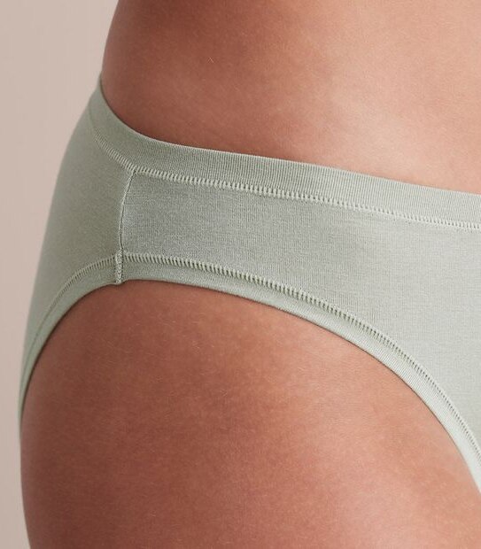 2 Pack Bamboo Bikini Briefs; Style: LBK12986