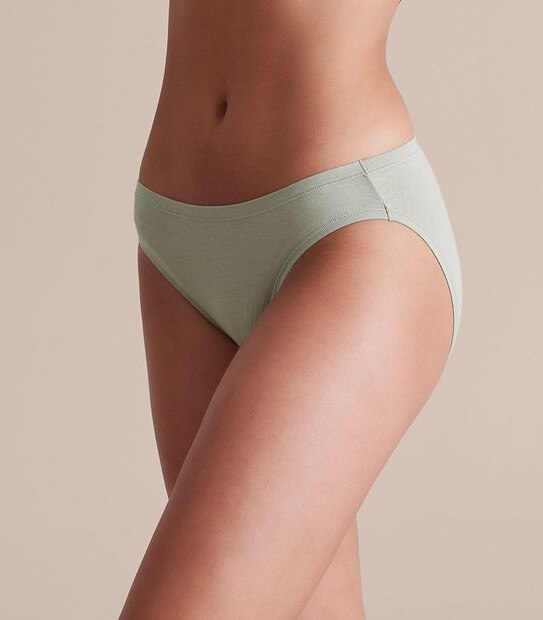 2 Pack Bamboo Bikini Briefs; Style: LBK12986