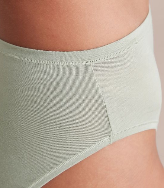 2 Pack Bamboo High Cut Briefs; Style: LHF12987