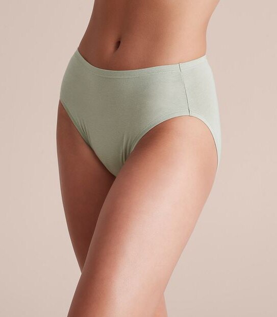 2 Pack Bamboo High Cut Briefs; Style: LHF12987
