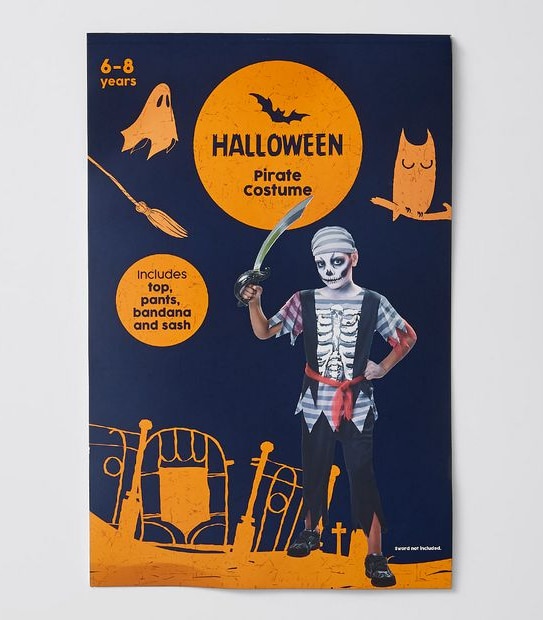 Halloween Pirate Costume