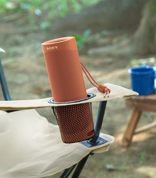 Sony Extra Bass Wireless Speaker SRSXB23