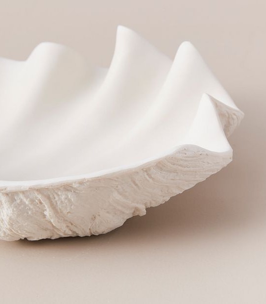 Clam Shell