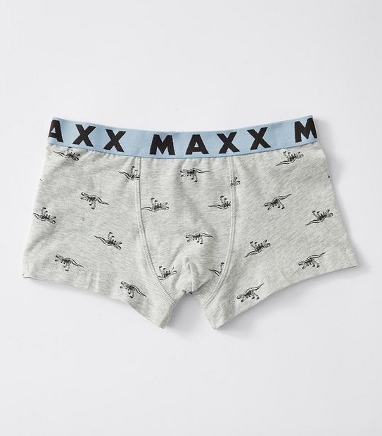 Maxx 5 Pack Boys Trunks