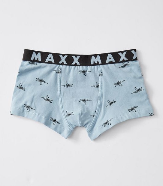 Maxx 5 Pack Boys Trunks